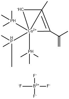 CasImg
