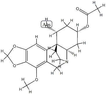 CasImg