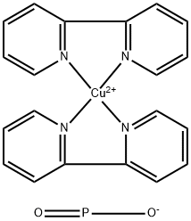 CasImg