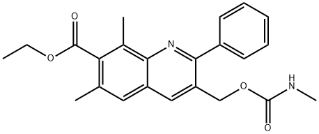 CasImg
