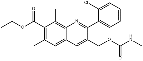 CasImg