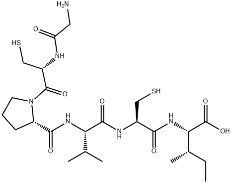 CasImg