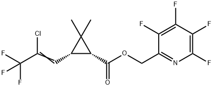 CasImg