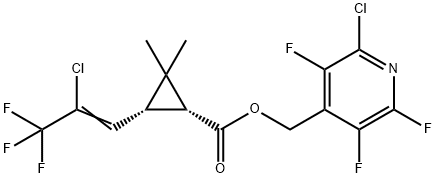 CasImg