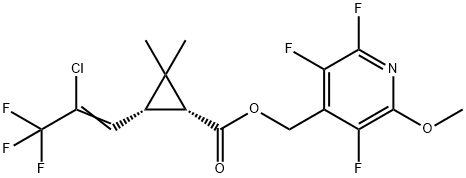 CasImg