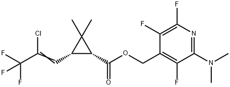 CasImg