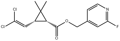 CasImg