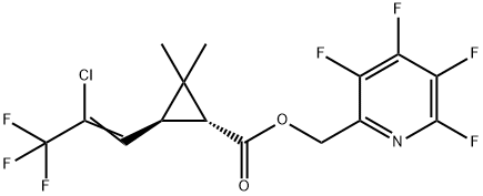 CasImg