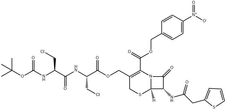 CasImg