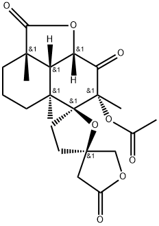 CasImg