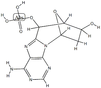 CasImg
