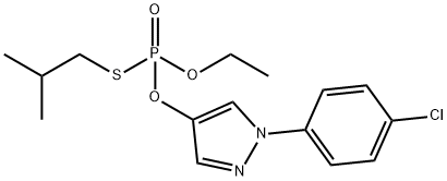 CasImg
