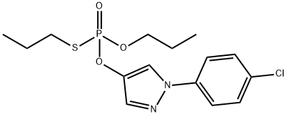 CasImg