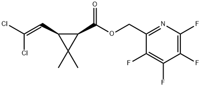 CasImg