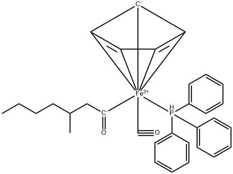 CasImg