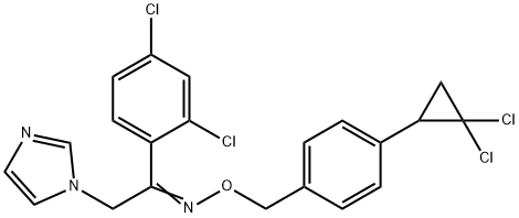 CasImg