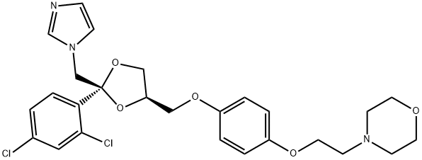 CasImg