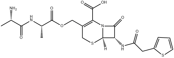CasImg