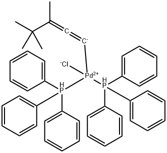 CasImg