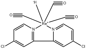CasImg