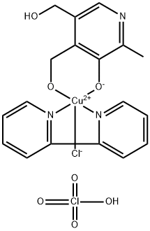 CasImg