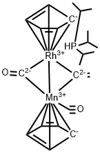 CasImg