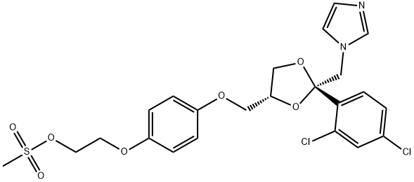 CasImg