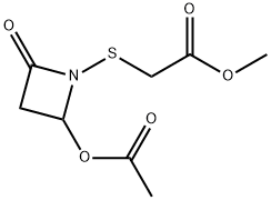 CasImg