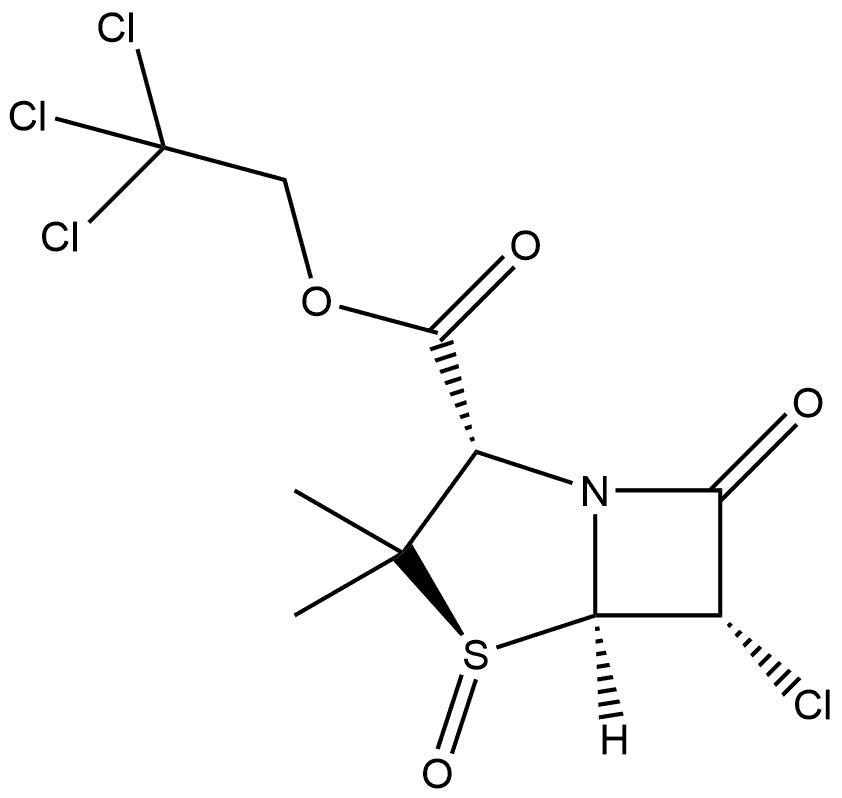 CasImg