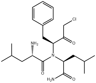 CasImg