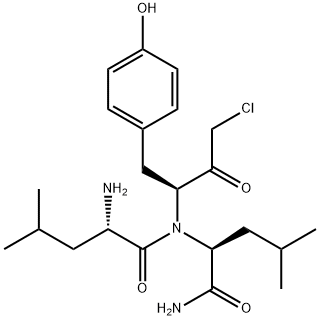 CasImg