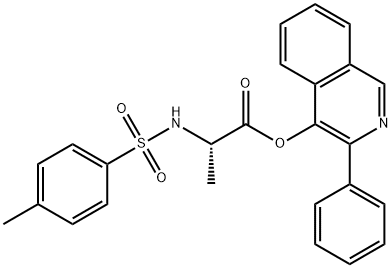 CasImg