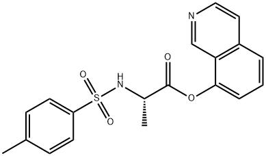 CasImg