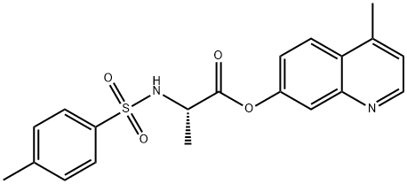 CasImg