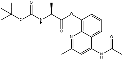 CasImg