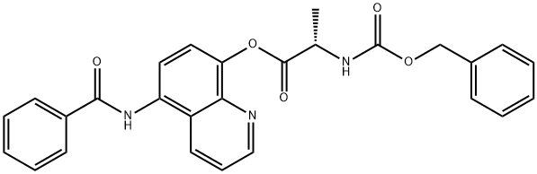 CasImg