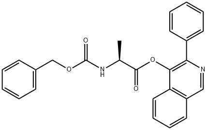 CasImg