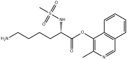 CasImg