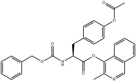 CasImg