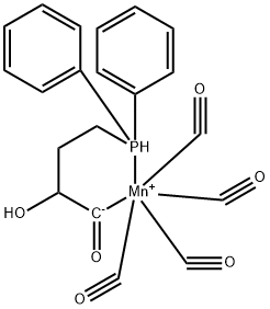 CasImg