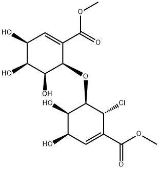 CasImg