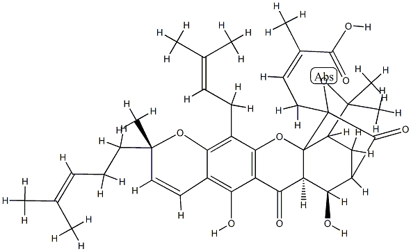 CasImg