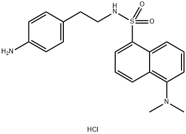 CasImg