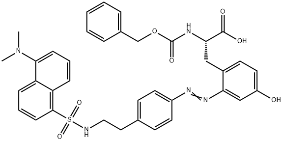 CasImg