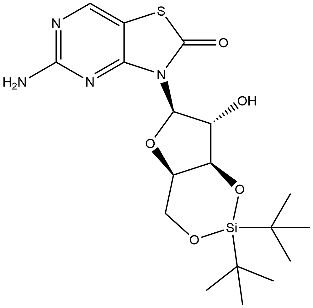 CasImg