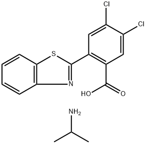 CasImg