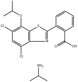 CasImg