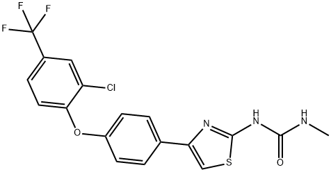 CasImg