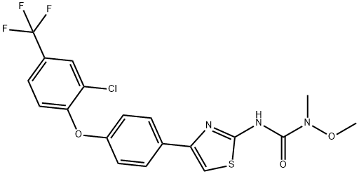 CasImg