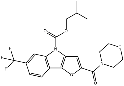 CasImg